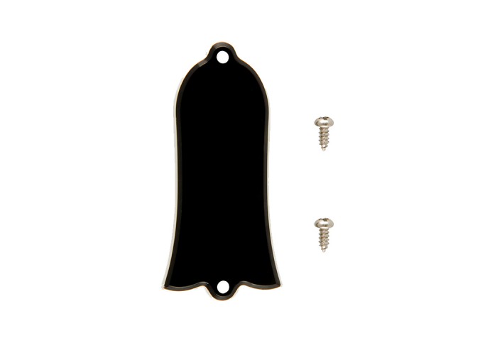 Gibson Accessories PRTR-010 Truss Rod Cover Blank
