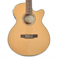 Epiphone PPGR-EEP4NACH1 PR-4E Player Pack Acoustic-Electric Guitar - Natural