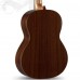 Alhambra 796 1 C HT Hybrid Terra 1/2 Guitar - Natural