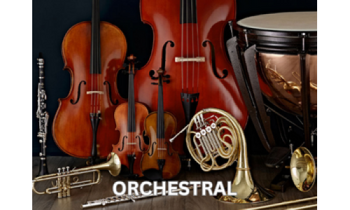 Orchestra