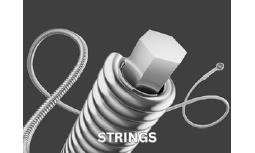 Strings