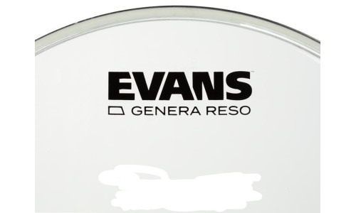 Evans Head Genera Resonant Tom Reso 10"