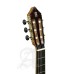Alhambra 825 Classic Guitar 11P - Natural