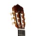 Alhambra 3.843 Classical Línea Profesional Guitar - Natural