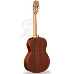 Alhambra 798 Hybrid Terra 1 C HT 3/4 Guitar - Natural