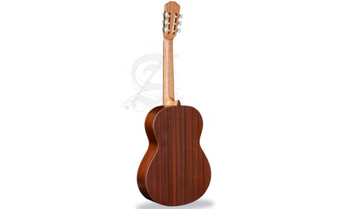 Alhambra 798 Hybrid Terra 1 C HT 3/4 Guitar - Natural