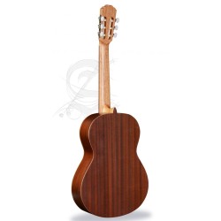 Alhambra 799 Classic guitar 1 C HT (Hybrid Terra) - Natural