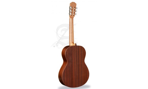 Alhambra 799 Classic guitar 1 C HT (Hybrid Terra) - Natural