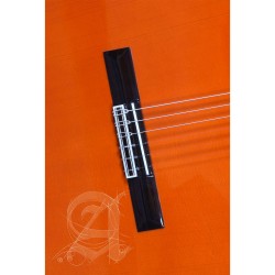 Alhambra 8.209 Flamenco Guitar 4F-PURE - Orange