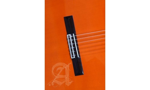 Alhambra 8.209 Flamenco Guitar 4F-PURE - Orange