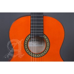 Alhambra 8.209 Flamenco Guitar 4F-PURE - Orange