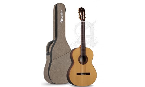 Alhambra 8.806 V Guitar Iberia Ziricote - Natural