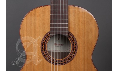 Alhambra 8.806 V Guitar Iberia Ziricote - Natural