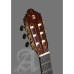 Alhambra 822 Premier 10 Classical Guitar - Natural