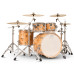 DW Drums Design Series Limited Edition Mapa Burl over European Birch 5-Piece Shell Pack with Snare Drum – image 2 DW Drums Design Series Limited Edition Mapa Burl over European Birch 5-Piece Shell Pack with Snare Drum – image 2