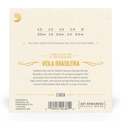 D'Addario EJ82A Viola Brasileira string Cebolão Re and Boiadeira Tunings