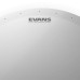 Evans Genera Dry Coated Head Snare Batter - 14"