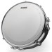 Evans Genera Dry Coated Head Snare Batter - 14"