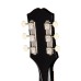 Epiphone EASBKEBNH1 Blues King Studio Acoustic Electric Guitar - Ebony
