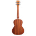 Kala Mandy Harvey Learn To Play Signature Series Tenor Ukulele Starter Kit – image 6 Kala Mandy Harvey Learn To Play Signature Series Tenor Ukulele Starter Kit – image 6