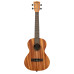 Kala Tenor Ukulele - Learn To Play Ukulele Starter Kit – image 5