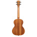 Kala Tenor Ukulele - Learn To Play Ukulele Starter Kit – image 6