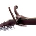 Kyser KG6CVA Capo Guitar 6 String  - Copper Vein