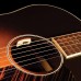 LR Baggs Anthem SL Soundhole Microphone And Undersaddle Acoustic Guitar Pickup LR Baggs Anthem SL Soundhole Microphone And Undersaddle Acoustic Guitar Pickup