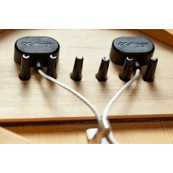 LR Baggs HiFi System with Volume and Tone Control