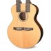 Martin GRANDJ28EDN Doubleneck Standard Series Acoustic Electric Guitar - Aging Toner
