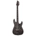 Schecter 911 Electric Guitar Ernie C C-1 - Black Reign