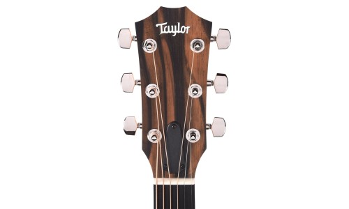 Taylor 210ce Plus-RW Plus Acoustic Electric Guitar - Natural