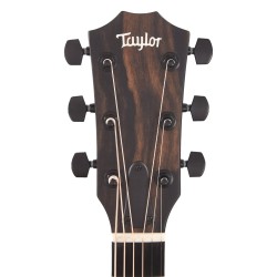 Taylor 214ce DLX LTD Grand Auditorium Acoustic-Electric Guitar - Trans Grey