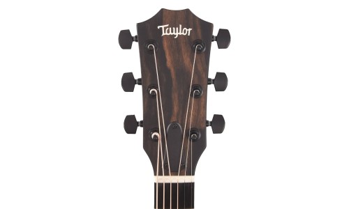 Taylor 214ce DLX LTD Grand Auditorium Acoustic-Electric Guitar - Trans Grey