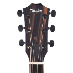 Taylor 214ce-BLK Plus Acoustic- Electric Guitar - Black