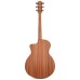 Taylor 24ce Grand Auditorium Acoustic Electric Guitar - Natural