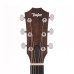 Taylor 24ce Grand Auditorium Acoustic Electric Guitar - Natural