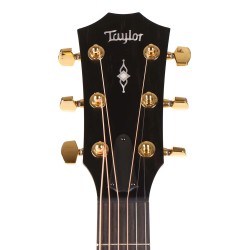 Taylor 312ce-LTD-SAP-50 Anniversary Limited Edition Acoustic Electric Guitar - Medium Stain