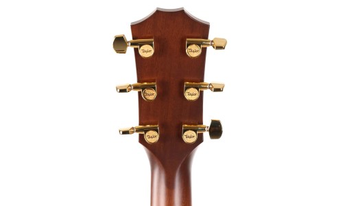 Taylor 312ce-LTD-SAP-50 Anniversary Limited Edition Acoustic Electric Guitar - Medium Stain