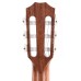 Taylor 314ce-N Nylon Acoustic Electric Guitar - Natural Sitka Spruce (PRE ORDER)