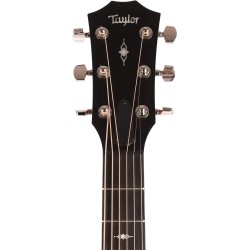 Taylor 317e Grand Pacific Sapele Acoustic-Electric Guitar V Class Bracing - Natural