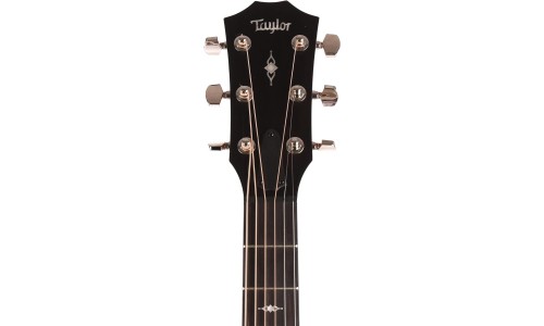 Taylor 317e Grand Pacific Sapele Acoustic-Electric Guitar V Class Bracing - Natural