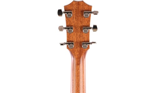 Taylor 317e Grand Pacific Sapele Acoustic-Electric Guitar V Class Bracing - Natural