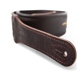 Taylor 4124-25 Embroidered Leather 2.5-inch Guitar Strap - Spring Vine Leather Chocolate Brown