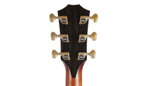 Taylor 914ce-BE-WHB Builder's Edition Acoustic Electric Guitar - Wild Honeyburst