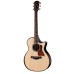 Taylor Next Generation Builder's Edition 814ce Adirondack Spruce/Rosewood Acoustic Electric Guitar -Natural