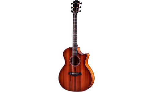 Taylor Custom #19 Grand Auditorium - Sinker Redwood And Honduran Rosewood