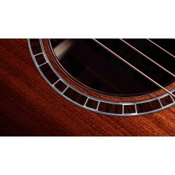 Taylor Custom #32 Grand Auditorium - Sinker Redwood And Honduran Rosewood