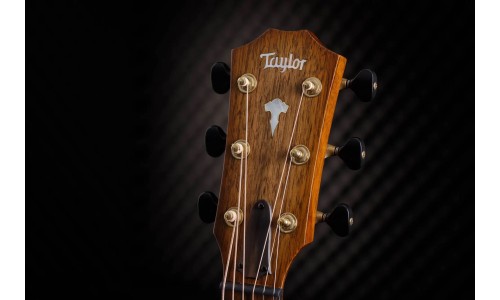 Taylor Custom GO#31Catch Grand Orchestra Acoustic-Electric Guitar Limited-Edition 20 Guitars Worldwide - Natural Walnut