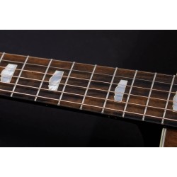 Taylor Custom GO#31Catch Grand Orchestra Acoustic-Electric Guitar Limited-Edition 20 Guitars Worldwide - Natural Walnut